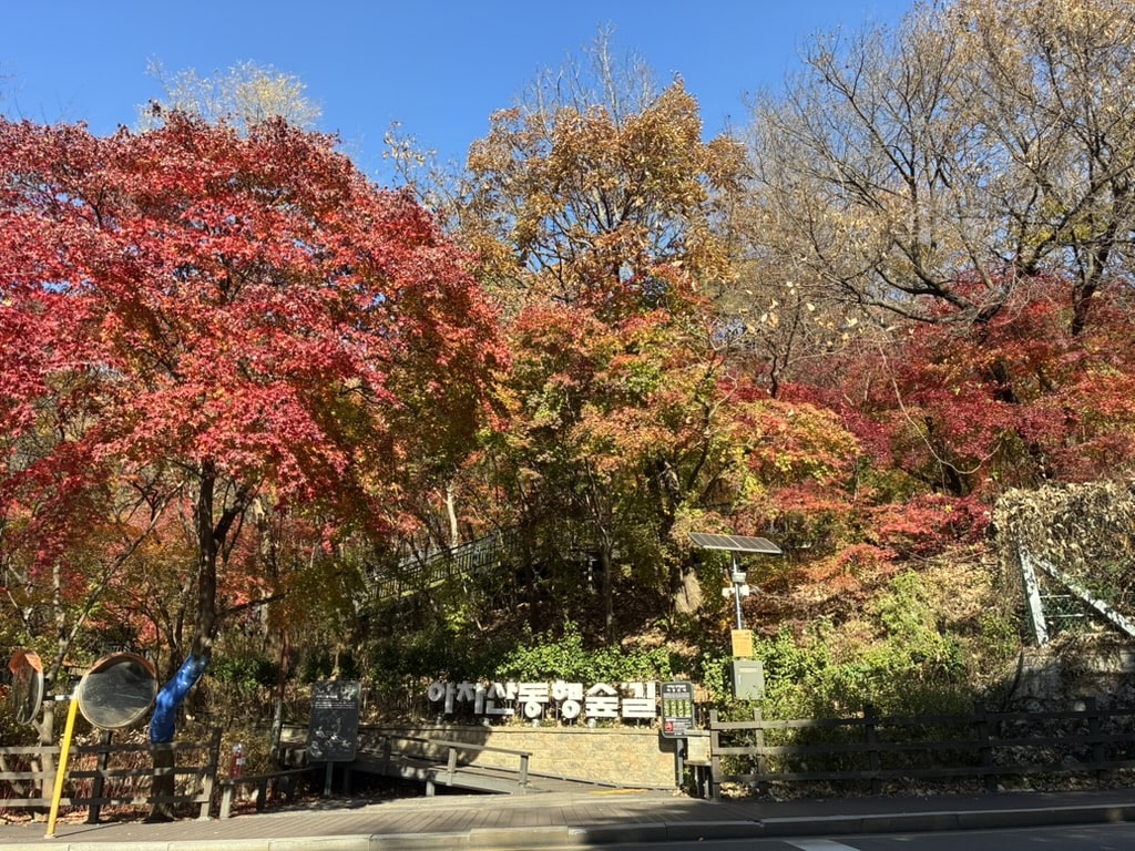 Last park before leaving