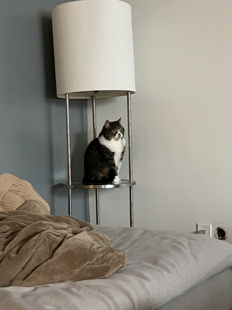 Suki